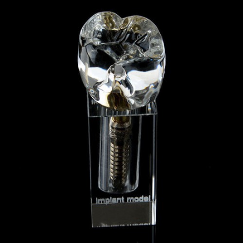 Dental Implant Crystal Modelo M2019-II