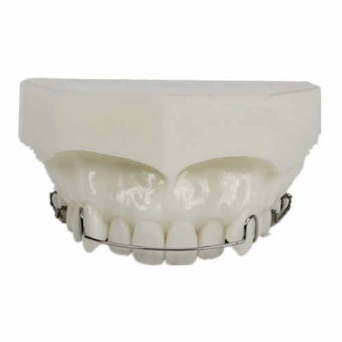 Modelo de ortodoncia Mantenimiento de tratamiento M3007