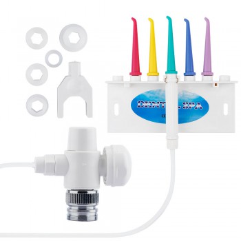 Nuevo Oral Irrigador Gum Dental SPA Agua Jet Flosser Dientes Conjuntos Dental Cepillo de Dientes