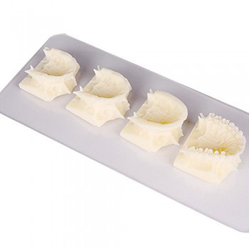 Dental maxillary grupo pantalla enseñanza cavidad Modelo