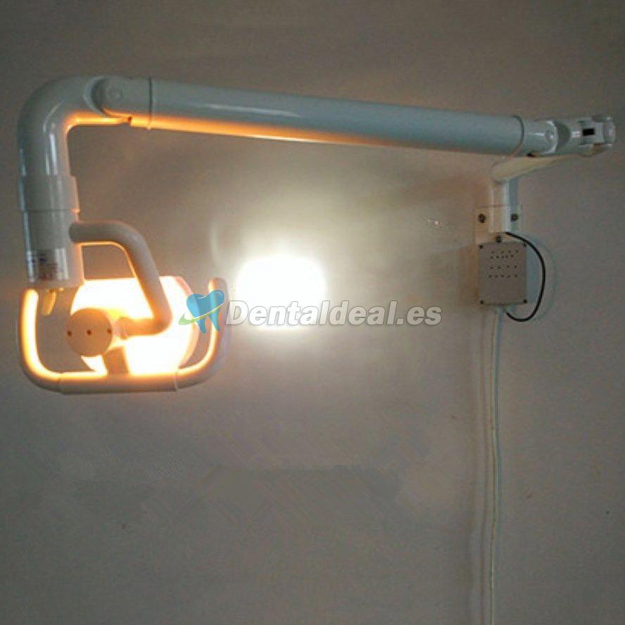 50W Lámpara Ligera Oral Médica del Colgante de Pared con la Luz Fría Shadowless del brazo