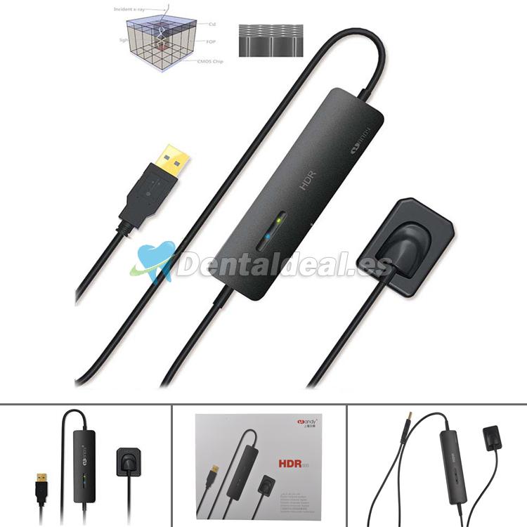 Sistema Práctico Digital USB Sensor de Rayos X útil HDR 500 Dental