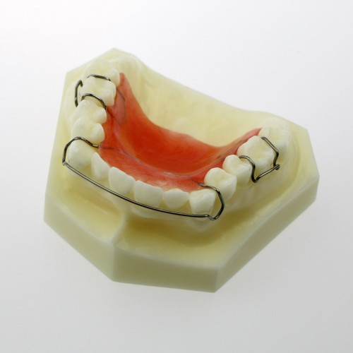 Modelo Dental Hawley Retainer Modelo # 3007 01