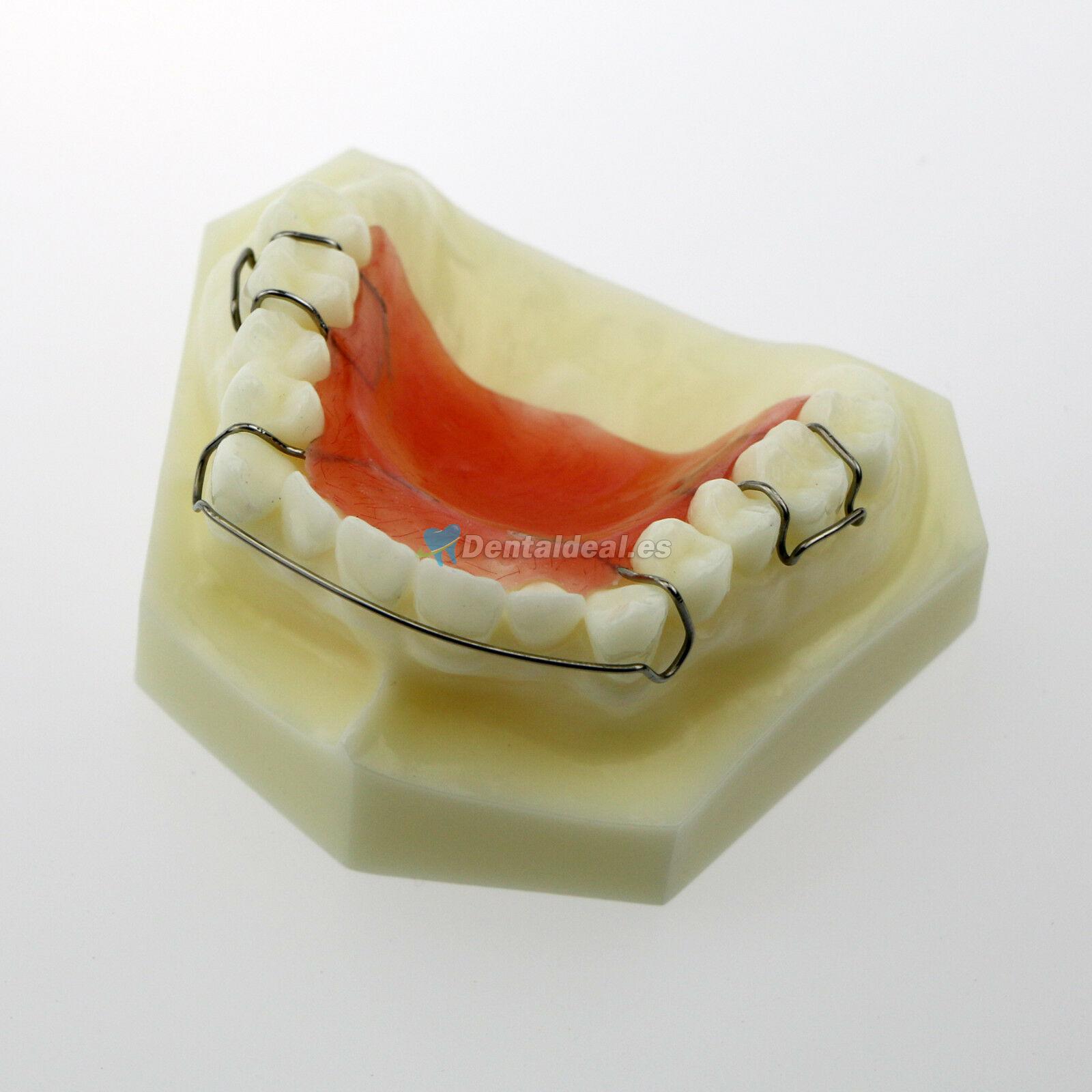 Modelo Dental Hawley Retainer Modelo # 3007 01