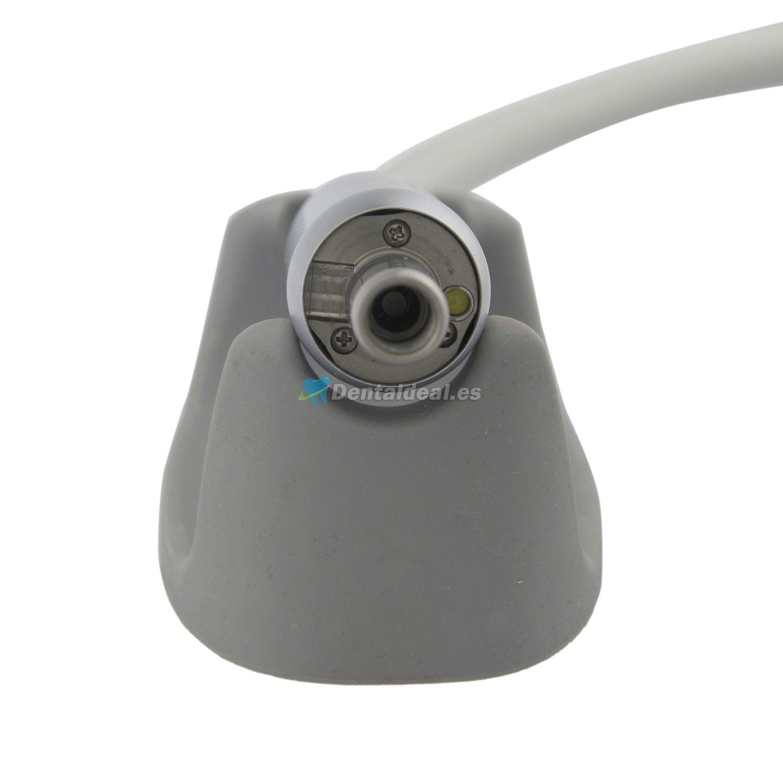 COXO C-Puma Dental sin Escobillas Micro Motor Eléctrico LED Pieza de Mano compatible con NSK Z95L X95L