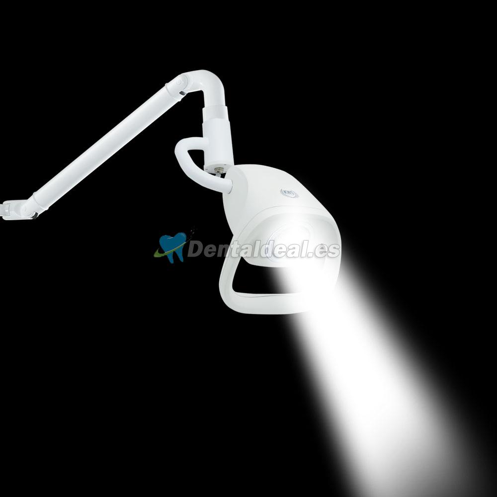 KWS KD-2021W-2 21W LED luz de examen quirúrgica dental montada en el techo