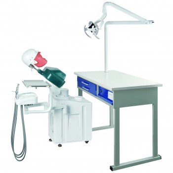 Jingle JG-A1 Cabeza Phantom para estudiantes de odontología Unidad de simulación dental
