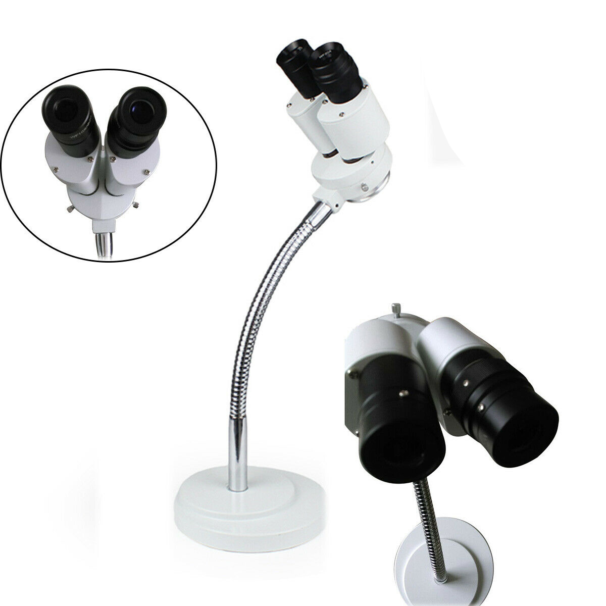 Micare 8X Microscopio Laboratorio Dental Girar 360 ° Ampliación Completa