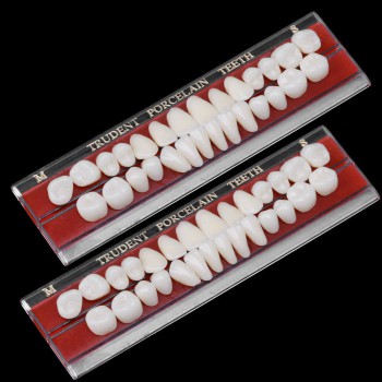 2Pcs Material de dentadura dental de porcelana guía de color de dientes con pasador de aleación 24#