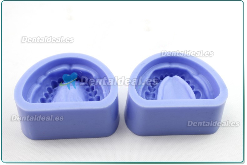 Silicone Modelo Para dental cavity preparation block