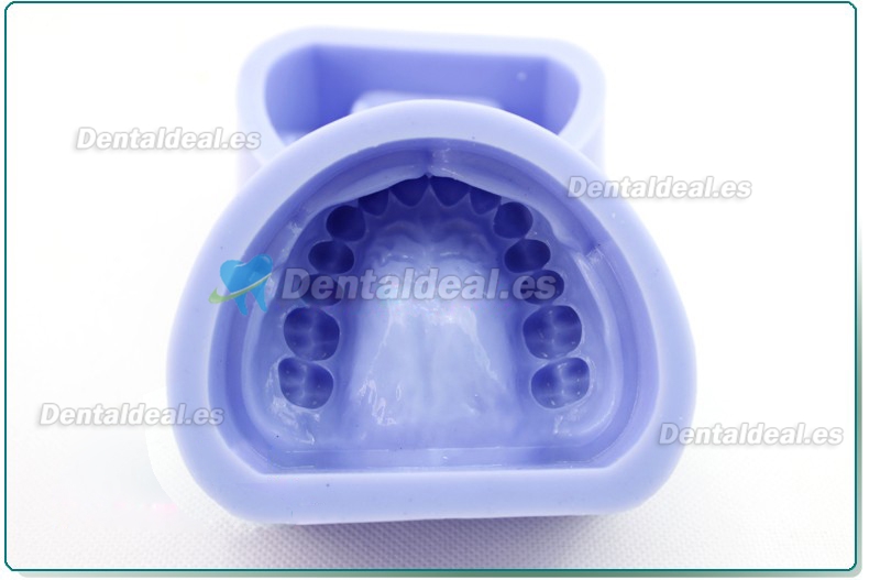 Silicone Modelo Para dental cavity preparation block
