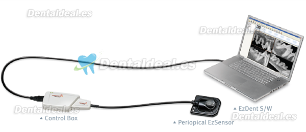 Dental Digital Dental Máquina Sensor Con Cable de conexión USB