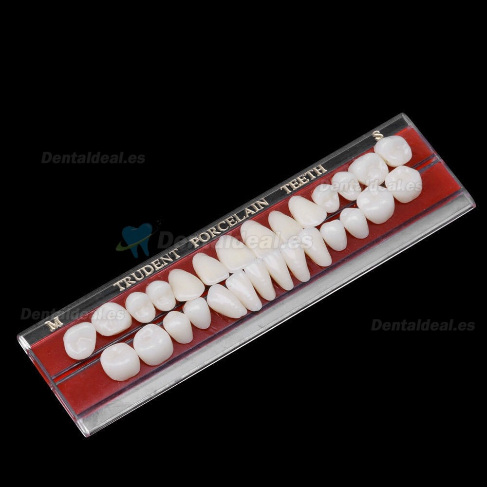 2Pcs Material de dentadura dental de porcelana guía de color de dientes con pasador de aleación 24#