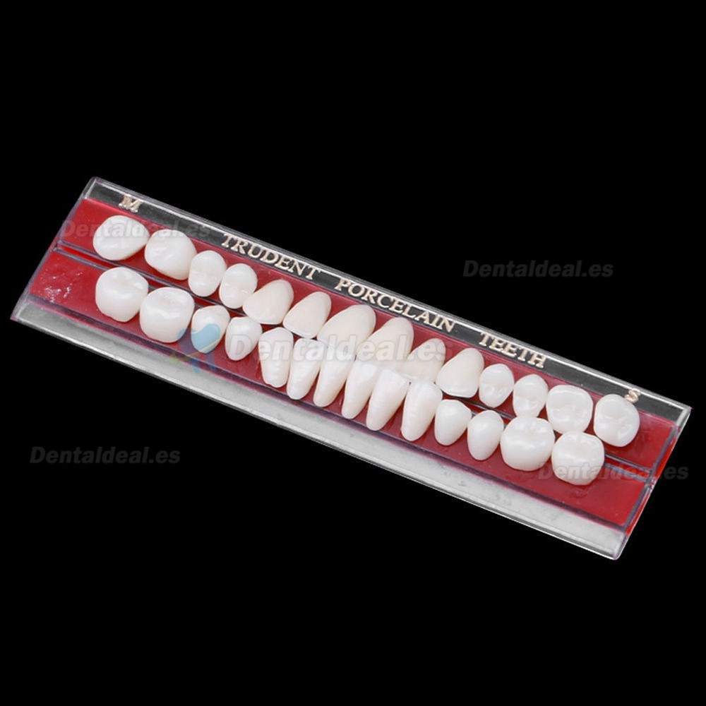 2Pcs Material de dentadura dental de porcelana guía de color de dientes con pasador de aleación 24#