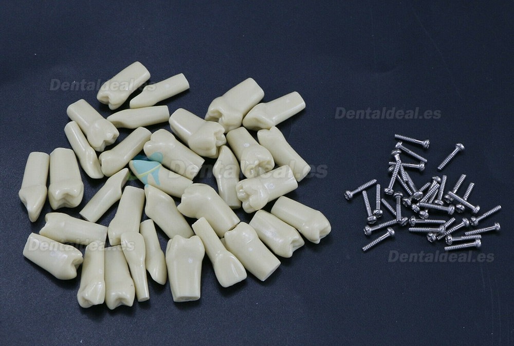 32Pcs Replacement Teeth Upper Lower For M8022 Model