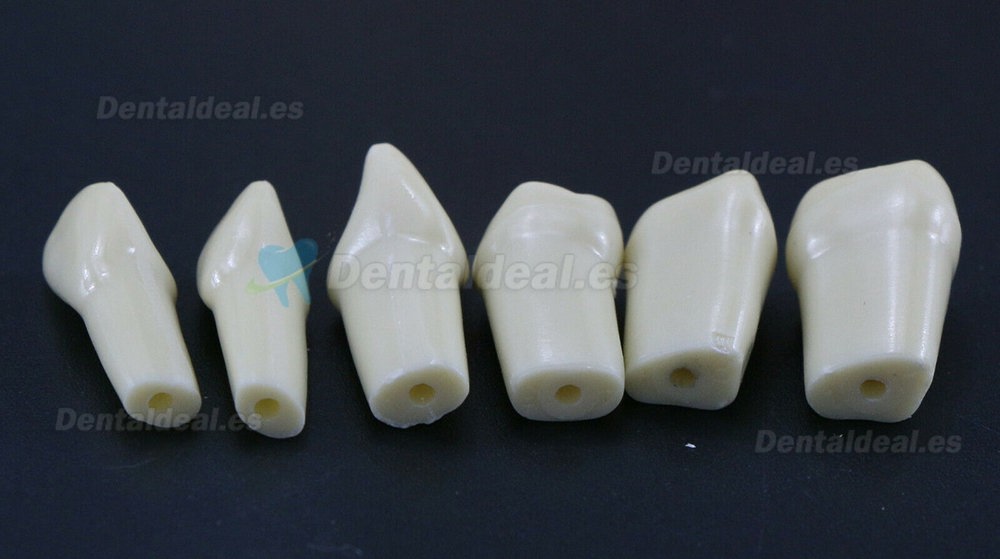 32Pcs Replacement Teeth Upper Lower For M8022 Model