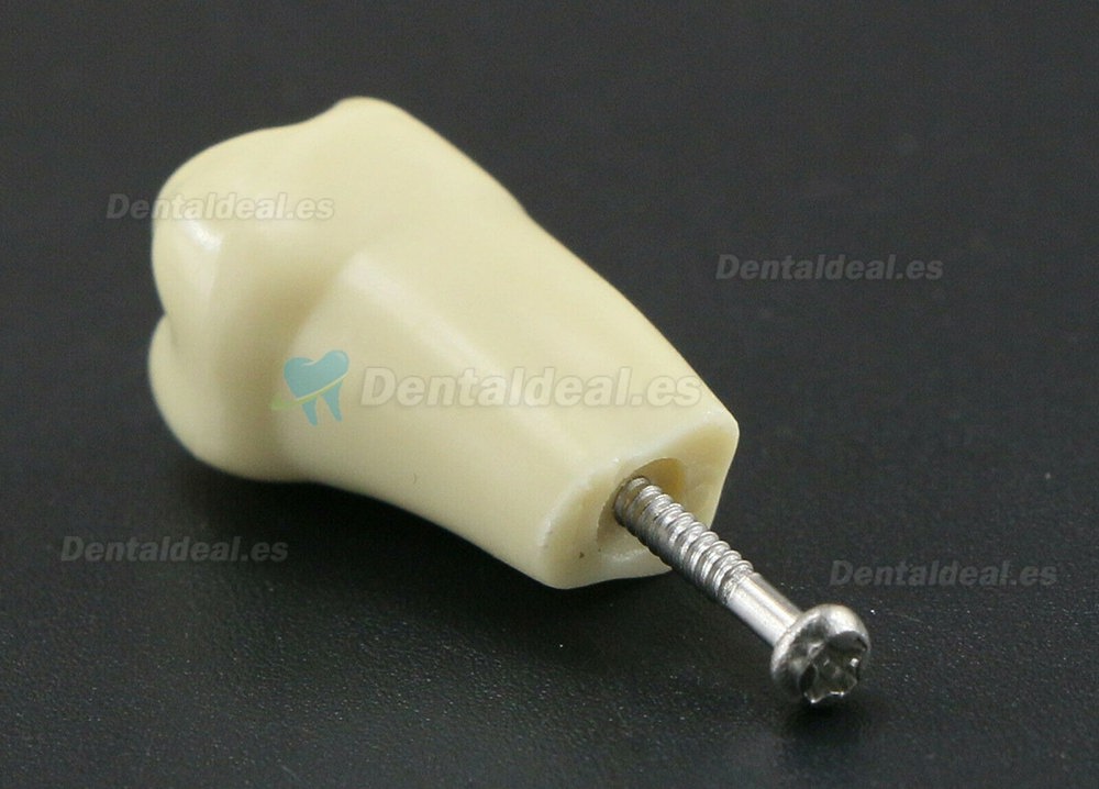 32Pcs Replacement Teeth Upper Lower For M8022 Model