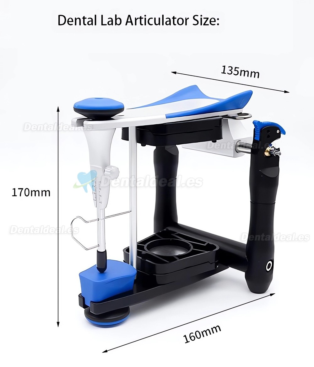 BN Articulador de laboratorio dental de Valor Medio Compatible Artex Amann Girrbach