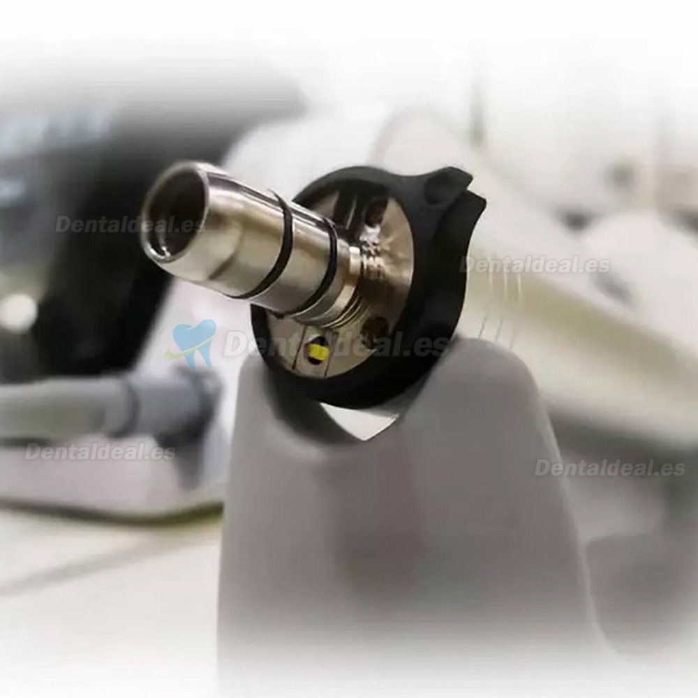 Yudendent COXO Sistema de Implante Dental C-Sailor Pro Motor Quirúrgico sin Escobillas Fibra óptica LED