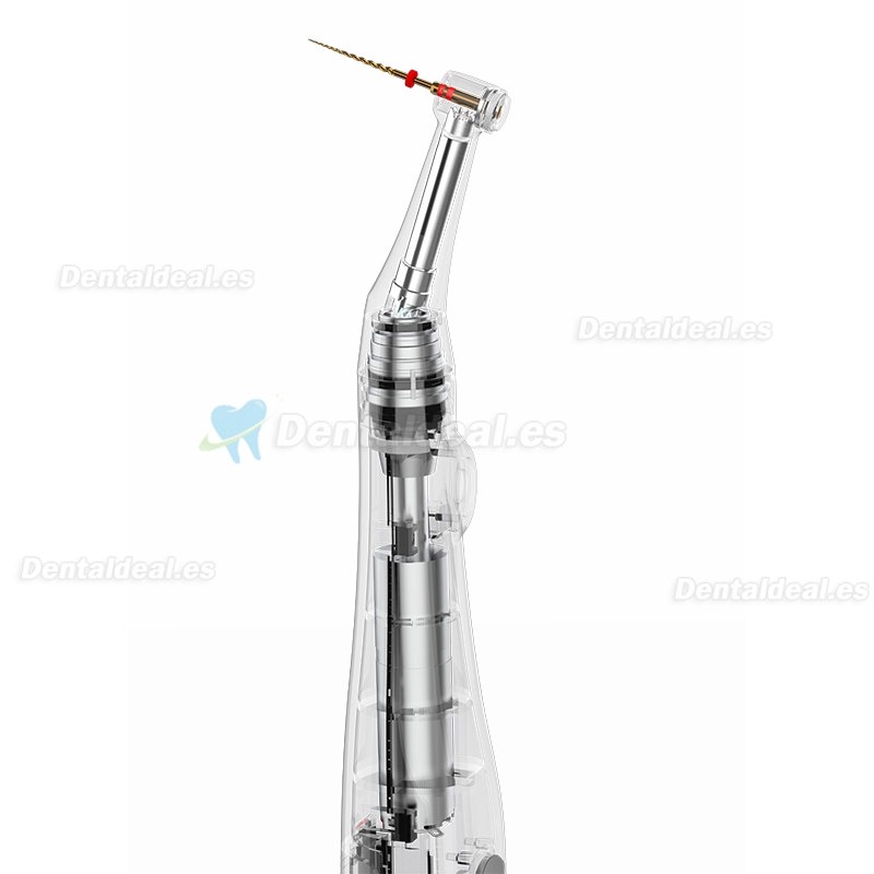 YUSENDENT COXO C-Smart-Mini Motor de Endodoncia Inalámbrico Contra-ángulo 1: 1 Pulsador