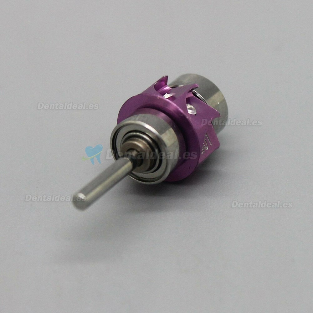 COXO CXW01 Rotor Para Turbina Dental Para W&H Synea TA-96 617