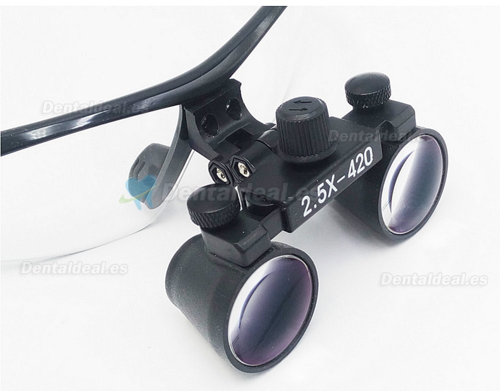 2,5 x420 mm Lupa binocular de cristal óptico antiniebla DY-101 color negro