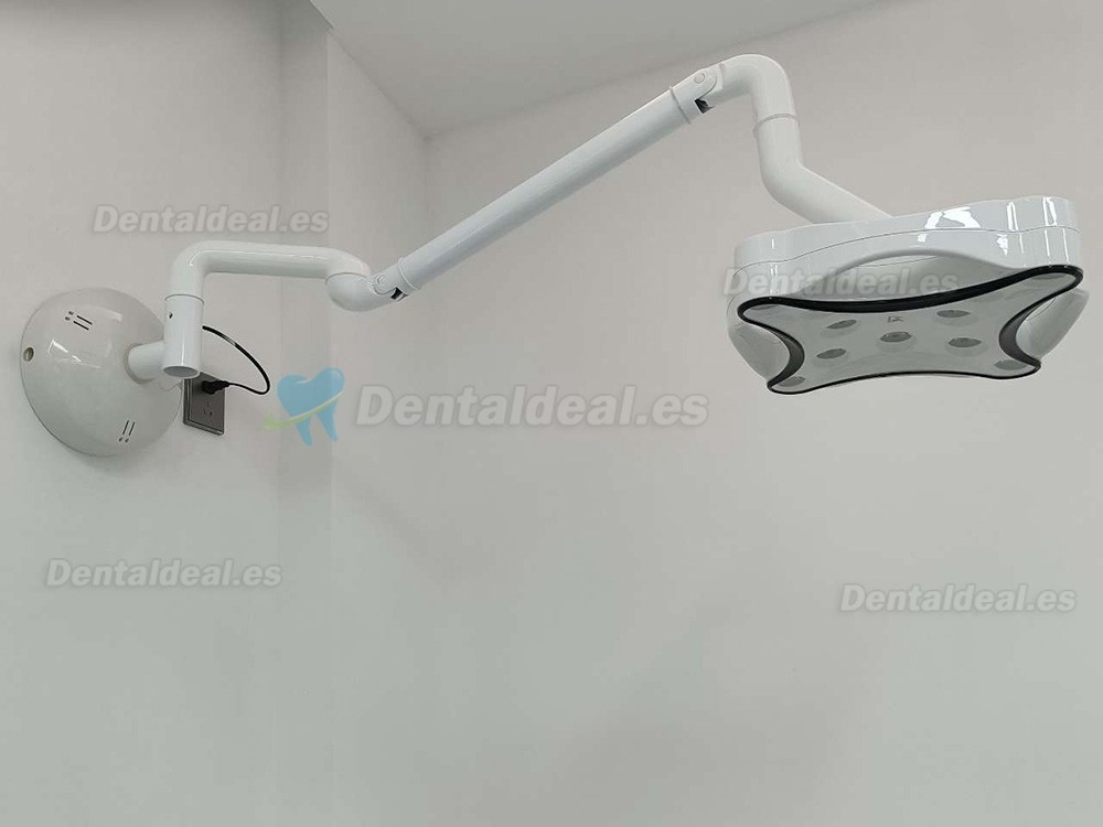 JD1700G Lámpara quirúrgica montada en pared lámpara de operación LED con luz para cirugía veterinaria Dental