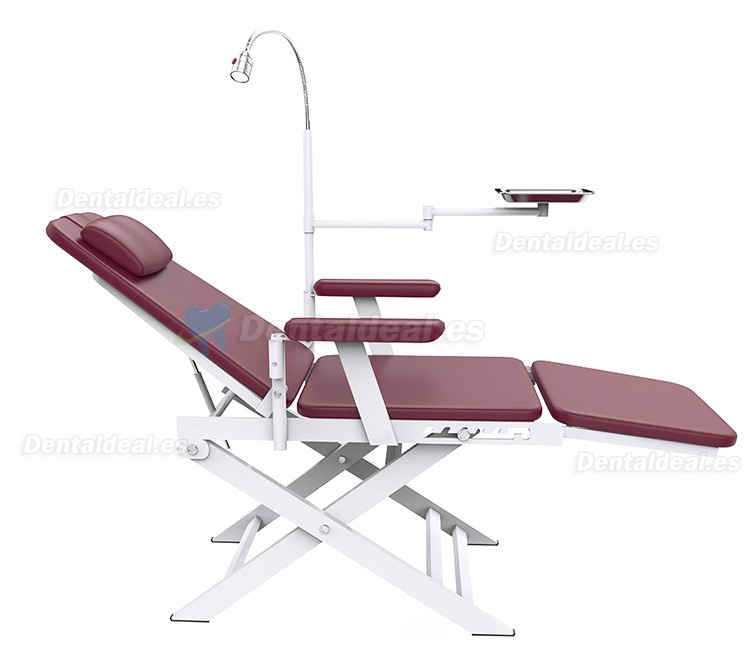 Silla Dental Port&aacute;til Plegable para Dentista con Luz LED y Bandeja