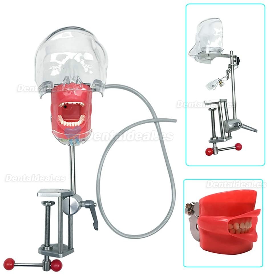 Greeloy GU-P206 Unidad Dental Portátil + Lampara Fotocurado LED + Kit de Pieza de Mano + Cabeza Fantasma de Maniquí