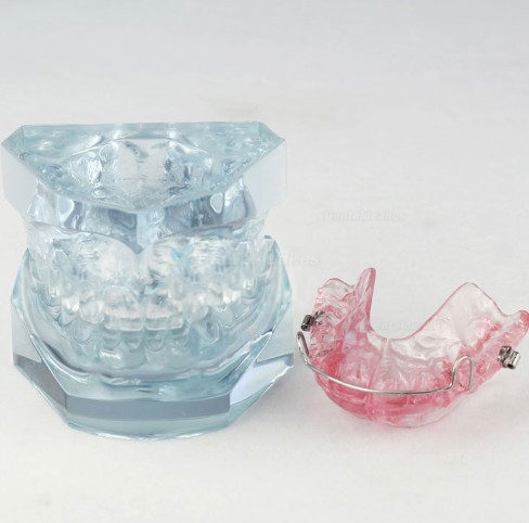 Modelo de restricción después del tratamiento de ortodoncia M-3006