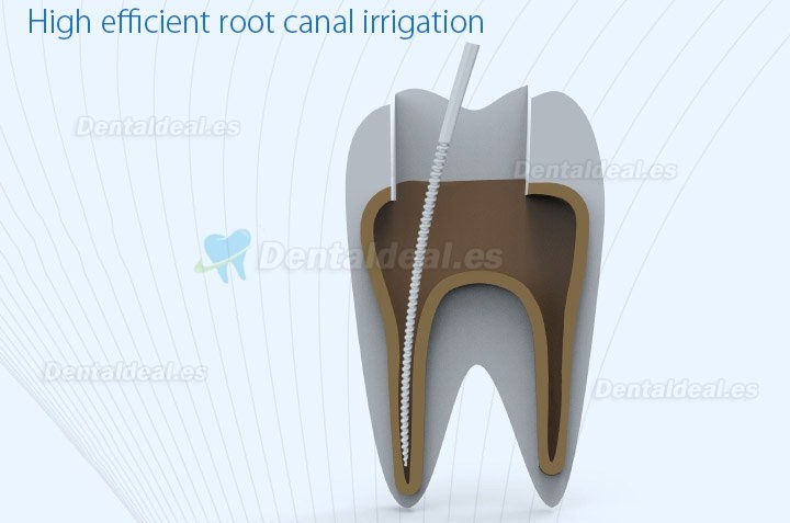 Refine MaxPiezo7/DS7 Ultrasonic Scaler Root Canal irrigation Scaler Compatible EMS/SATELEC