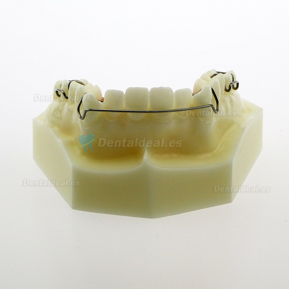 Modelo Dental Hawley Retainer Modelo # 3007 01