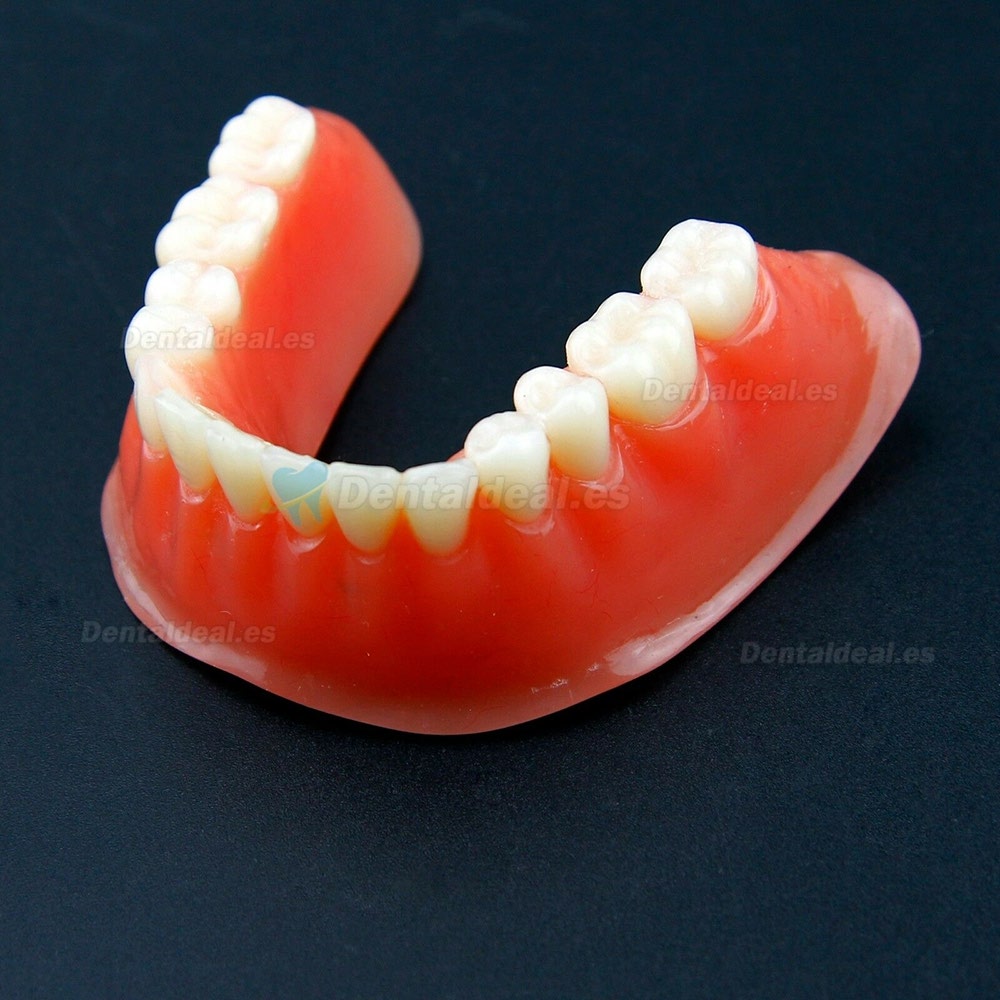 Sobredentadura Dental Typodont Modelo Inferior Precision Implant Dorado 6009