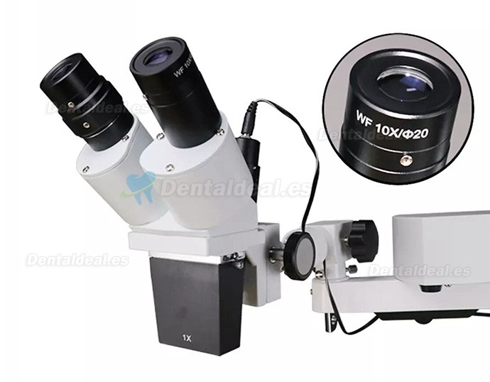 10X/15X/20X Microscopio operatorio en el diagnóstico y tratamiento endodóntico montado en mesa