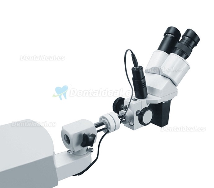 10X/15X/20X Microscopio operatorio en el diagnóstico y tratamiento endodóntico montado en mesa