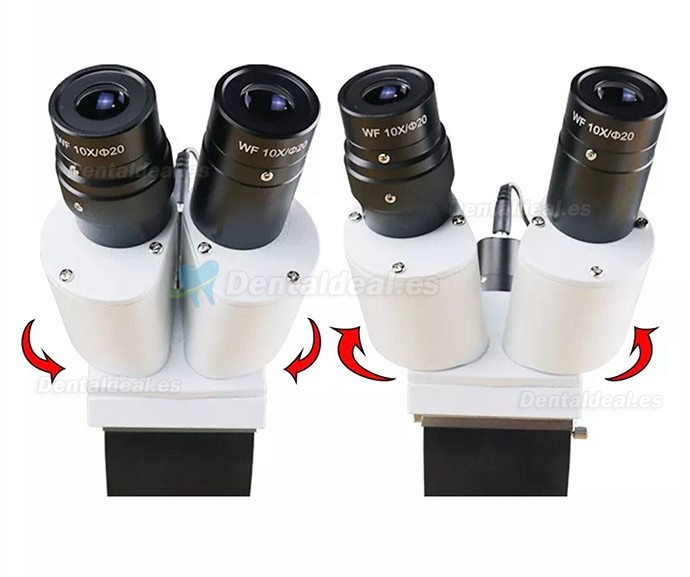10X/15X/20X Microscopio operatorio en el diagnóstico y tratamiento endodóntico montado en mesa