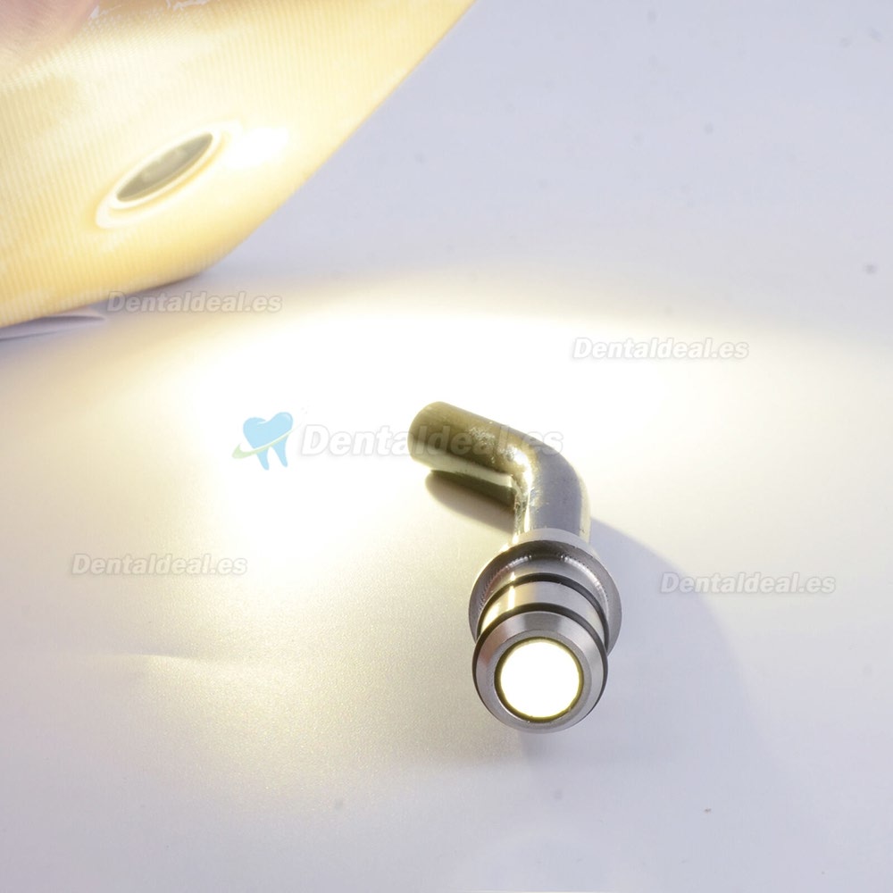 5 Pcs 8×12×21mm Fibras Ópticas para Lámparas de Polimerización