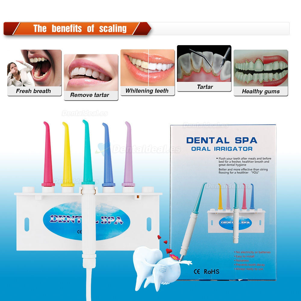 Nuevo Oral Irrigador Gum Dental SPA Agua Jet Flosser Dientes Conjuntos Dental Cepillo de Dientes