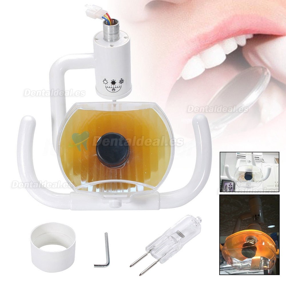 Lámpara de luz oral sin sombra luz fría para unidad dental silla 22mm