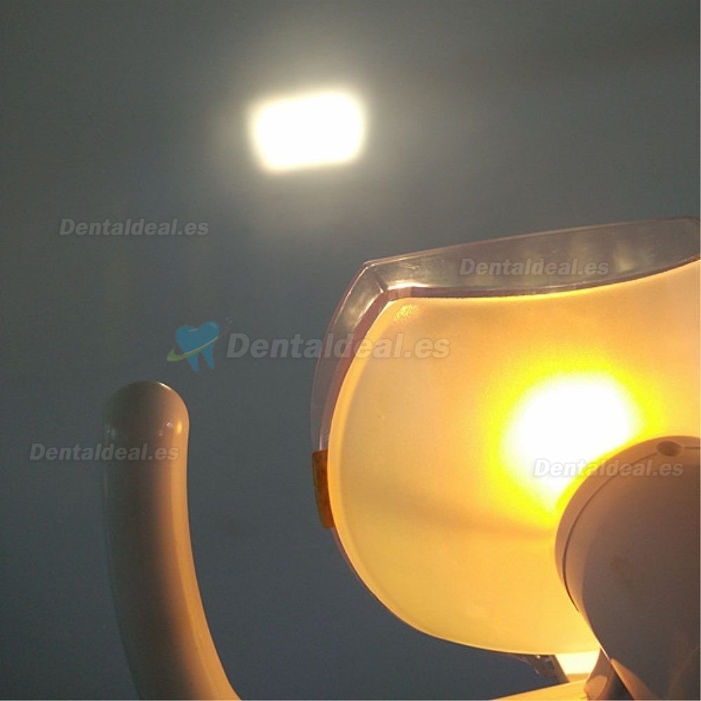 Lámpara de luz oral sin sombra luz fría para unidad dental silla 22mm