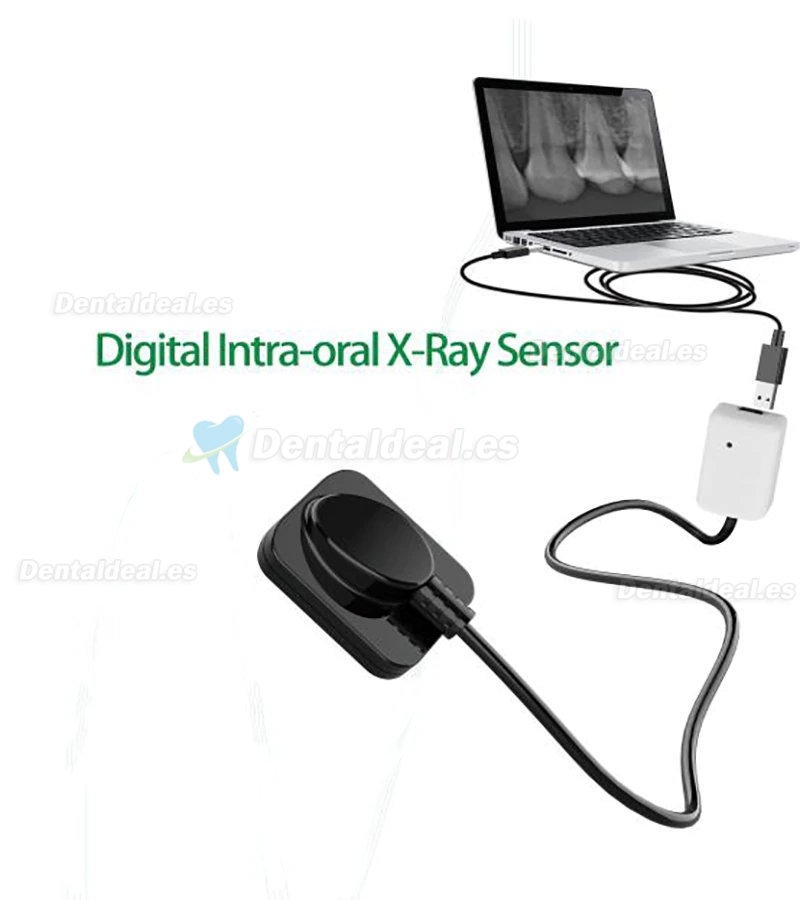 Sensor de Rayos X de Imagen Digital Dental RVG Sistema de Imágenes Intraorales Dentales