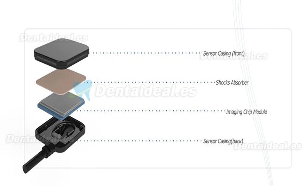 Sensor de Rayos X de Imagen Digital Dental RVG Sistema de Imágenes Intraorales Dentales