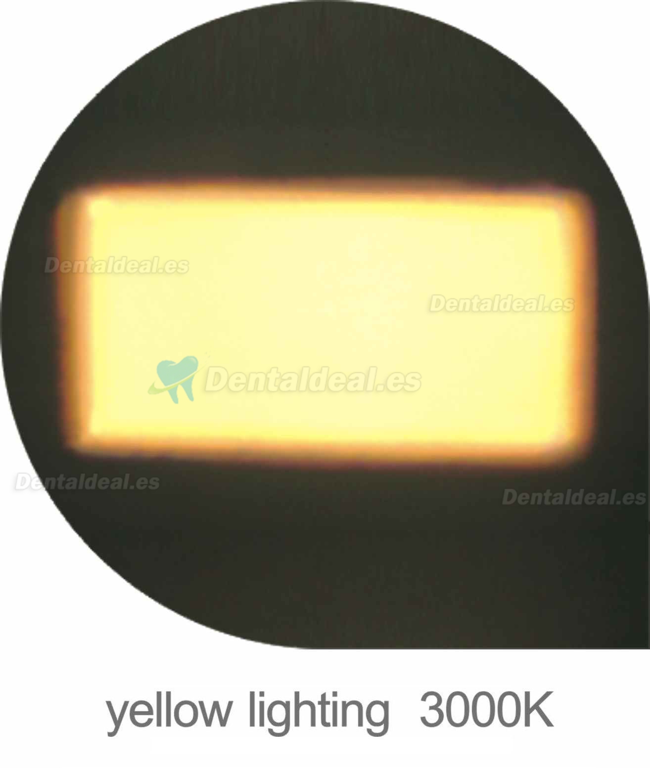 Lámpara LED Saab® P106A dental Paciente Luz Oral (montaje en la pared)