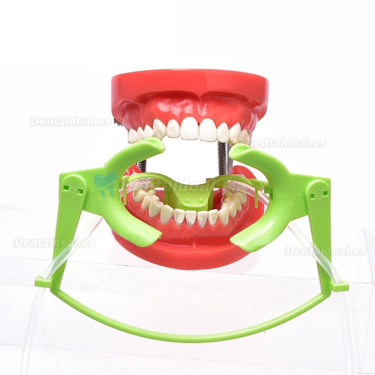 1Pcs Retractor de mejillas dentales con tubo de succión subsaliva abridor de labios intraoral