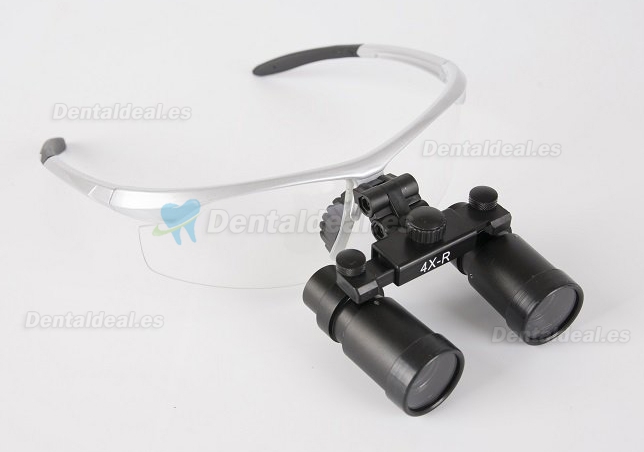 Lupa dental quirúrgica (6.0 x R para ENT/VET) color plateado