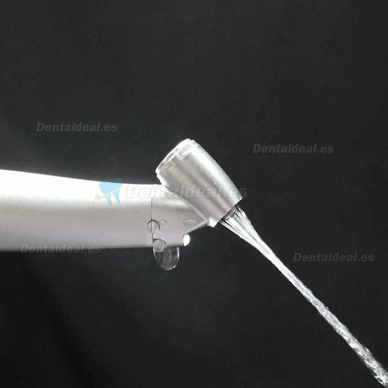 Westcode Dental 45° fibra óptica 1:4.2 contra-ángulo multiplicador anillo rojo tipo e