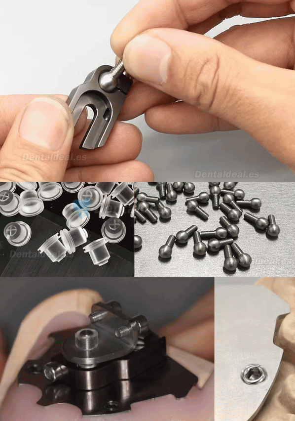 Registrador Relaci&oacute;n C&eacute;ntrica con Trazador Arco G&oacute;tico para Ed&eacute;ntulos