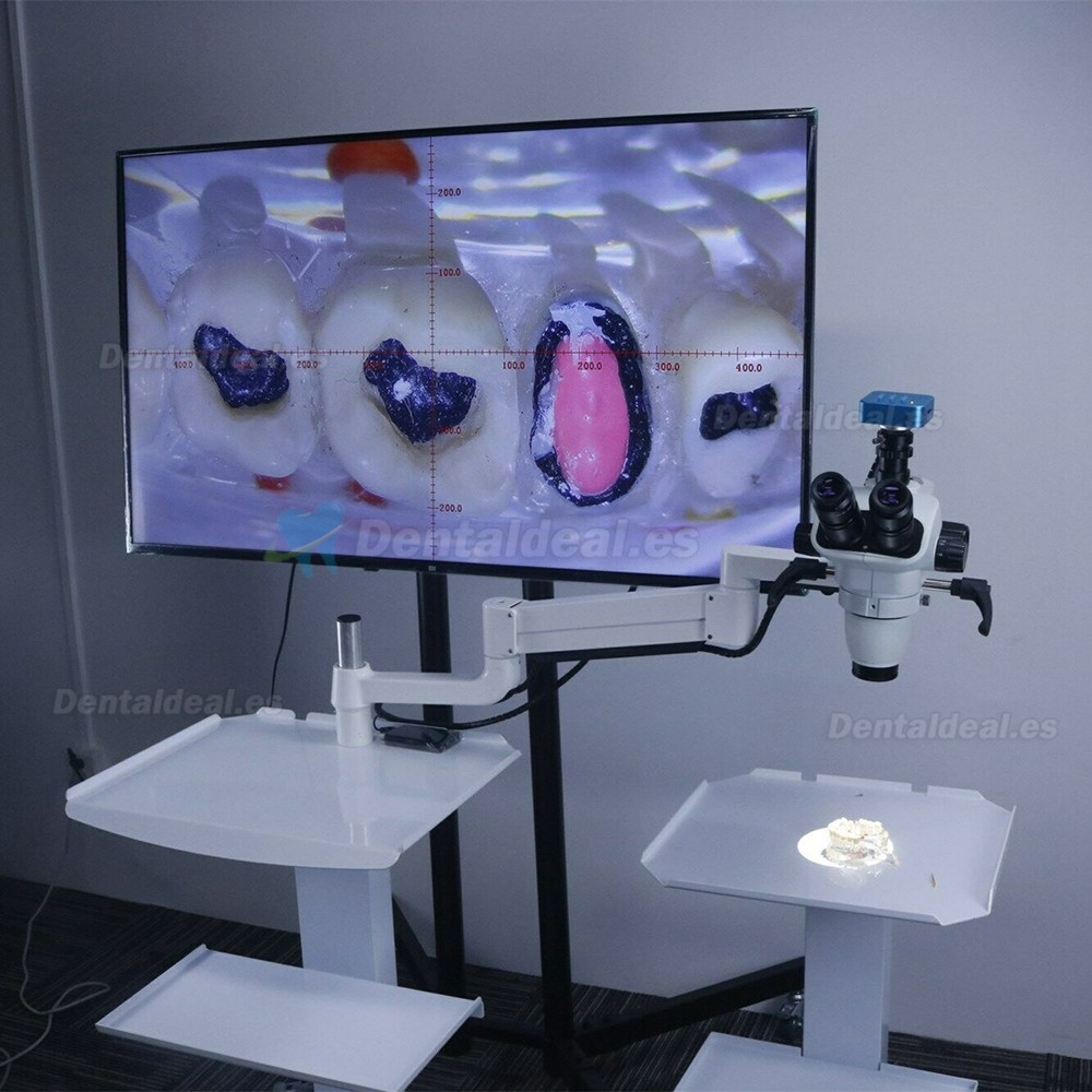 Tipo de carro de 5W Microscopio quirúrgico dental para endodoncia con cámara