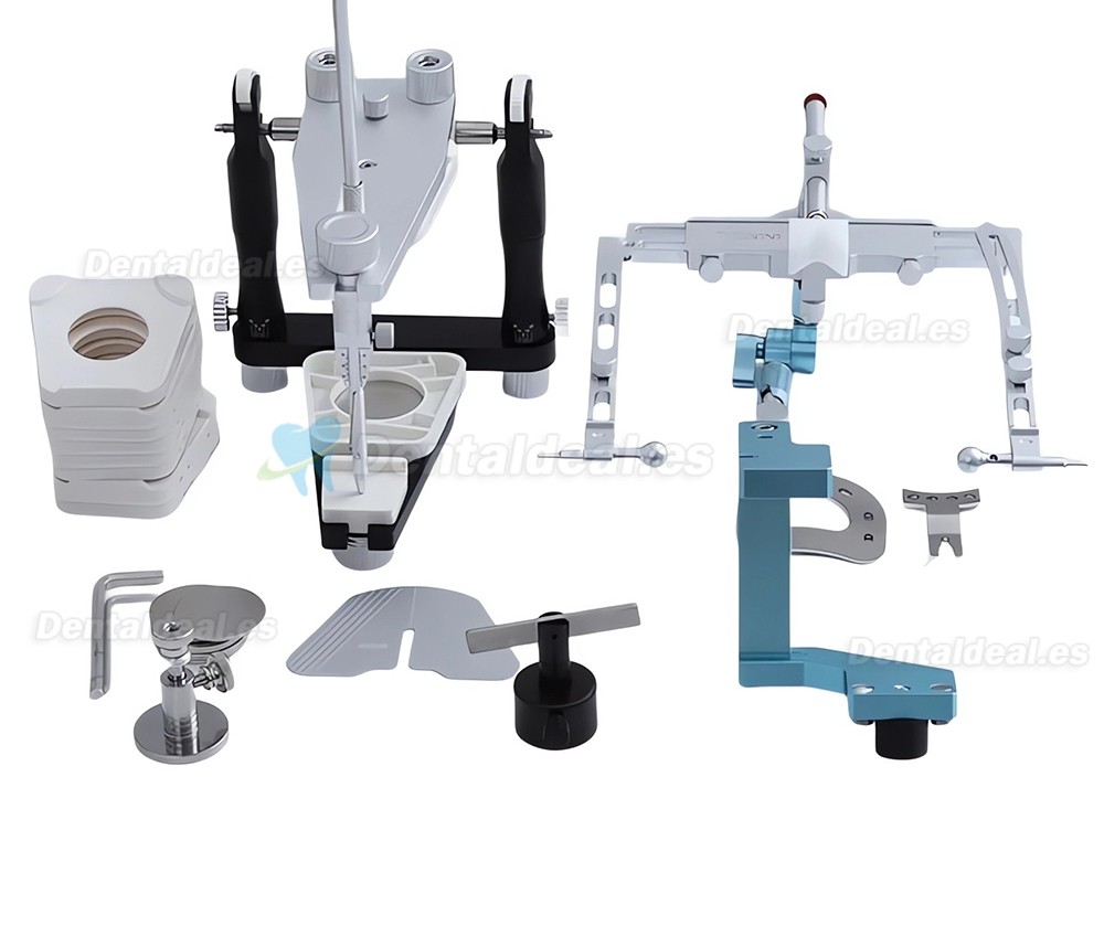 CL-3303 Articulador Dental Semiajustable con Arco Facial, Soporte de Transferencia y Estructura de Soporte Tipo T