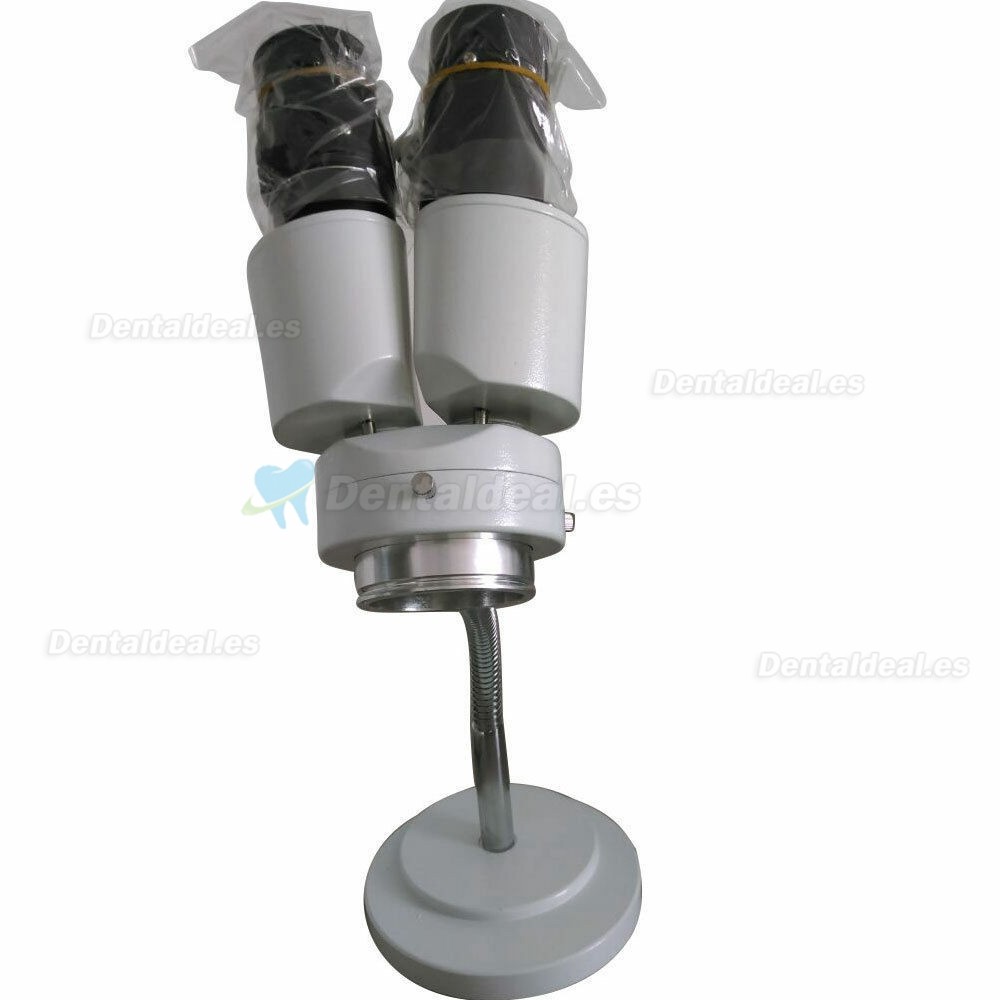 Denjoy DUS-1A Ultrasonido dental con LED Pieza de mano Patalla LCD 220V